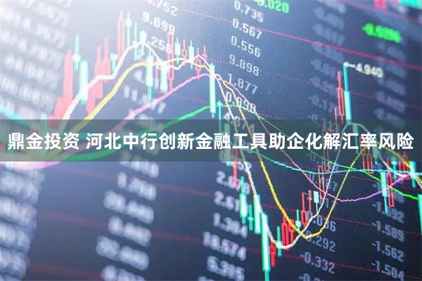 鼎金投资 河北中行创新金融工具助企化解汇率风险