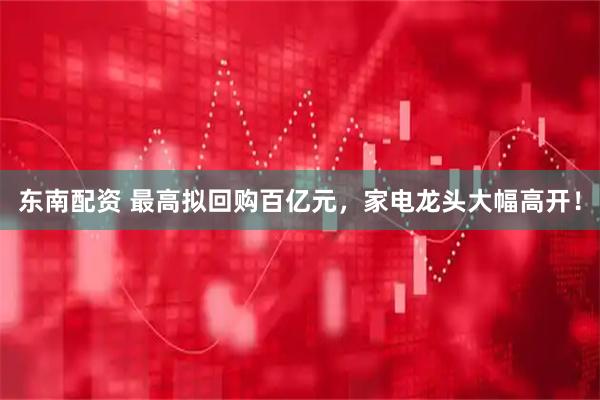 东南配资 最高拟回购百亿元，家电龙头大幅高开！