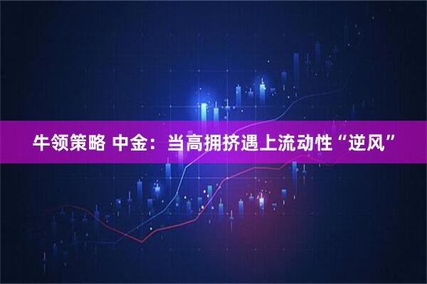 牛领策略 中金：当高拥挤遇上流动性“逆风”